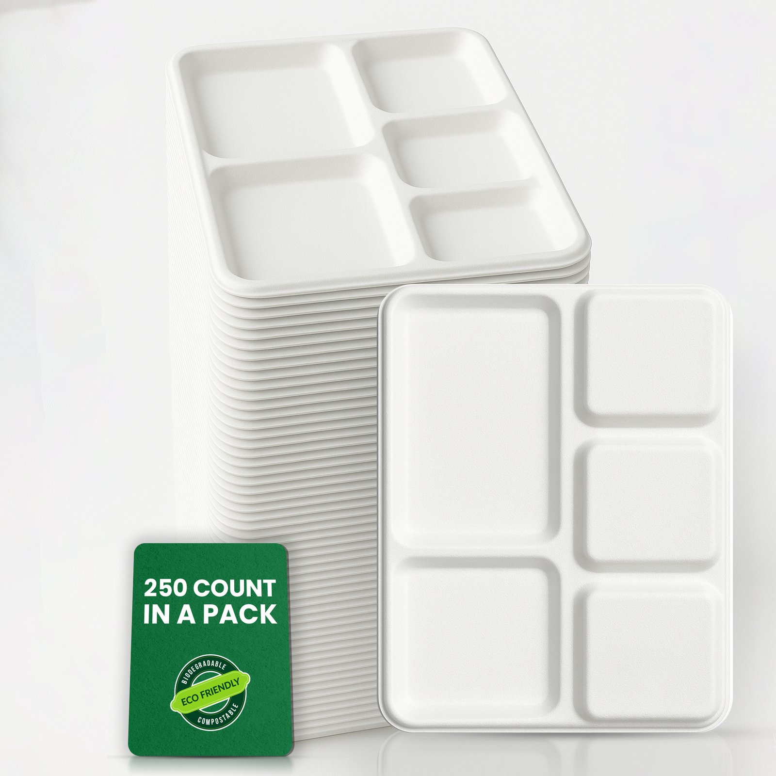 5 Compartment Eco Freindly